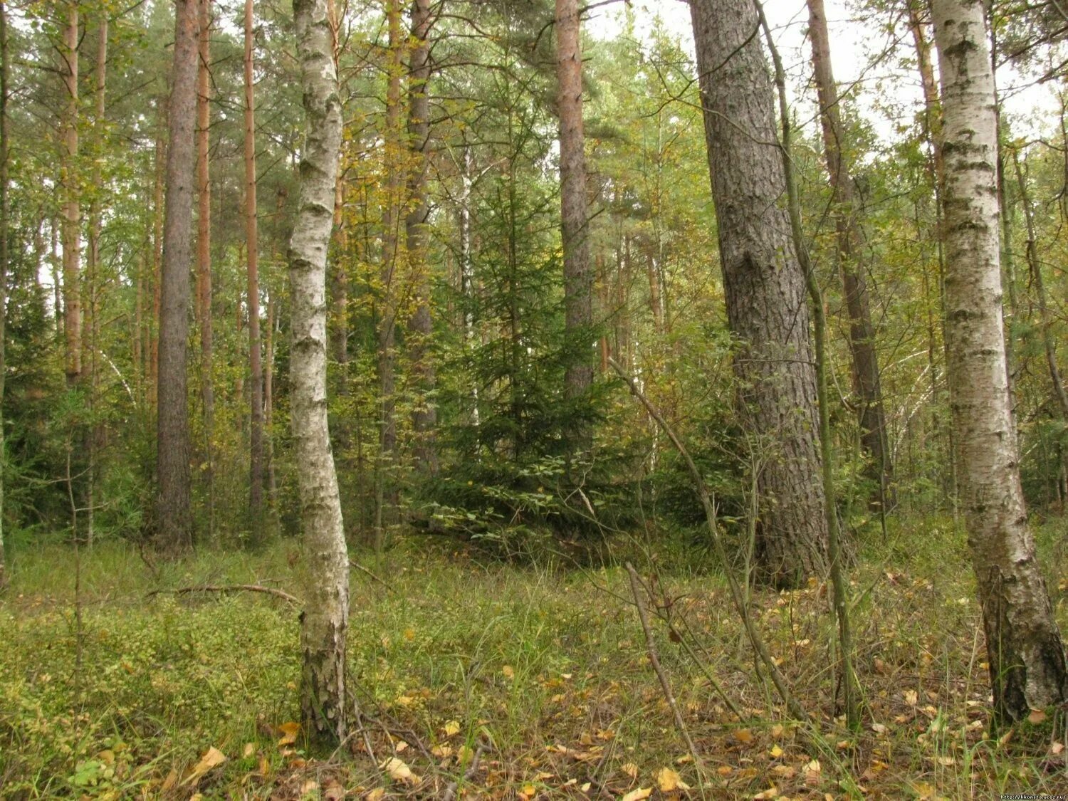 Днт полюшко иркутск. Это место иркутская область. Марково иркутский район. Земля в иркутске 2. Качуг иркутская область.