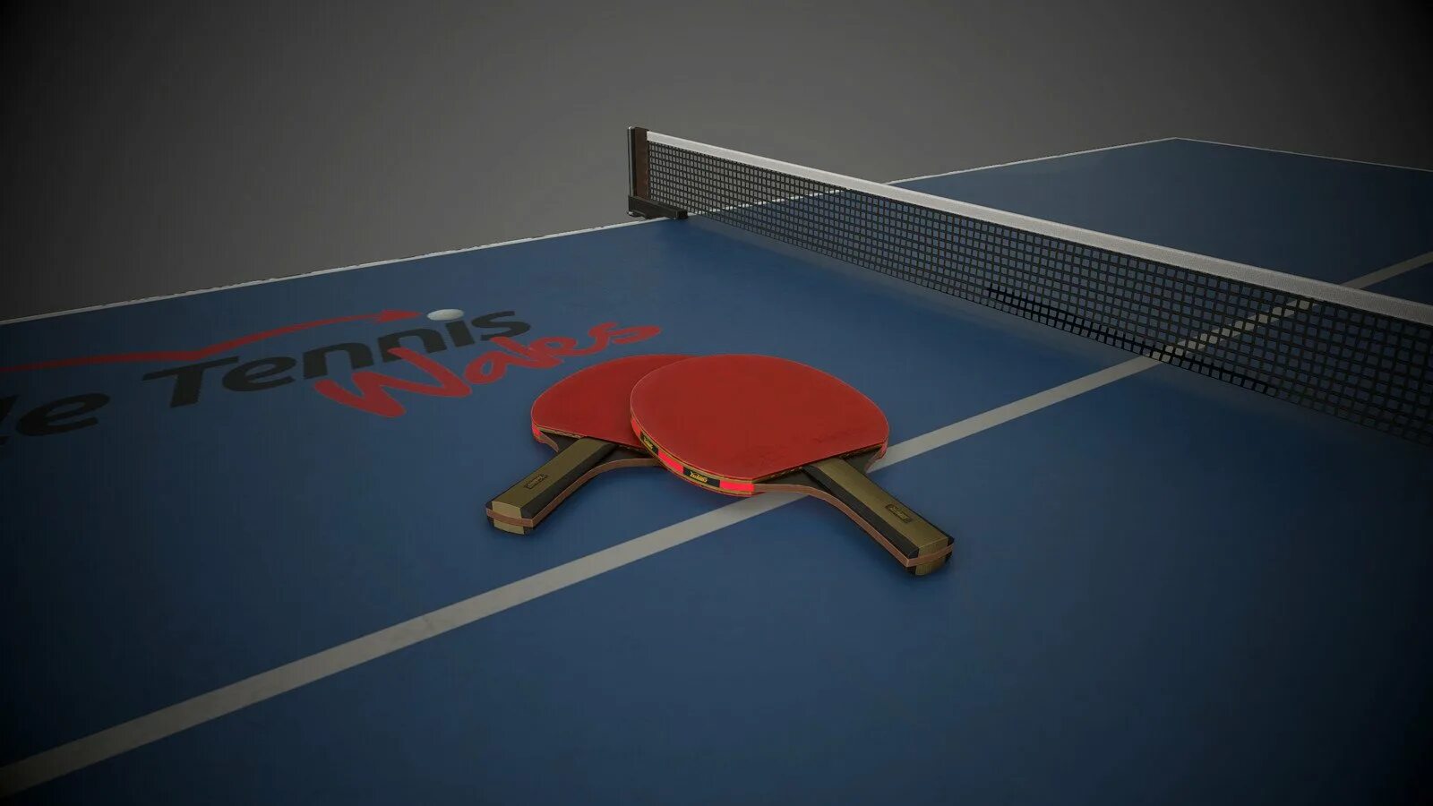 Настольный теннис поле. Stol Tennis” “Ping-Pong”. Настольный теннис 2х2. Теннисный стол с ракетками. Поверхность для настольного тенниса.