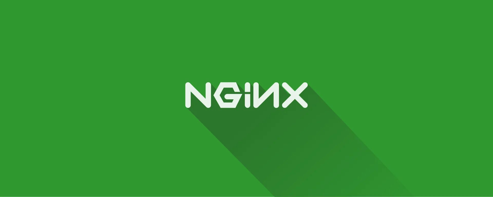 Nginx vars. Nginx. nginx logo. nginx/1.16.1. nginx картинки.
