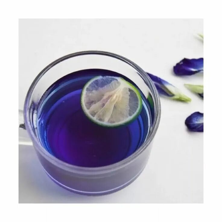 Анчан растение как выглядит Синий чай ВкусВилл Анчан цветы сушеные (Blue Tea/Anchan Flower) отзывы