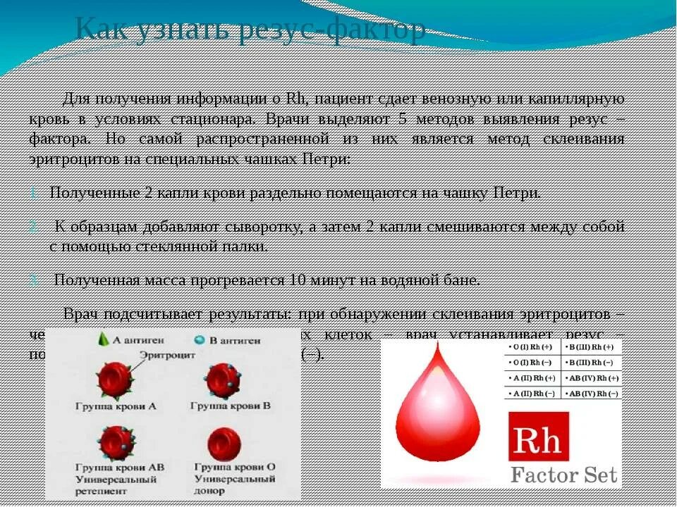 Группа крови rh фактор
