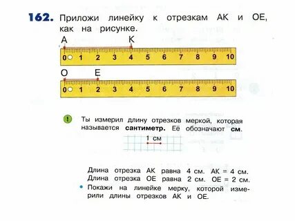 Одна вторая это сколько см