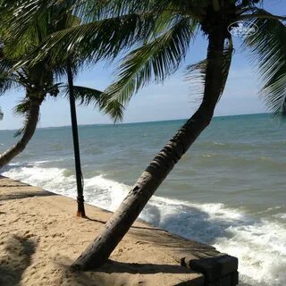 Oriental beach pearl resort 4