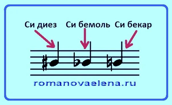 Диез что это. Знаки диез и бемоль на нотном стане. Диезы и бемоли на нотном стане. Диез бемоль Бекар на нотном стане. Си диез на нотном стане.