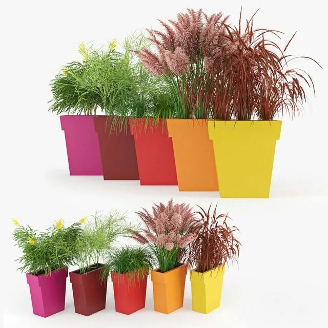 Plant color. Разноцветные горшки для цветов. Кашпо набор разноцветные. Разноцветные горшки для цветов в интерьере. Разноцветные горшки для балкона.