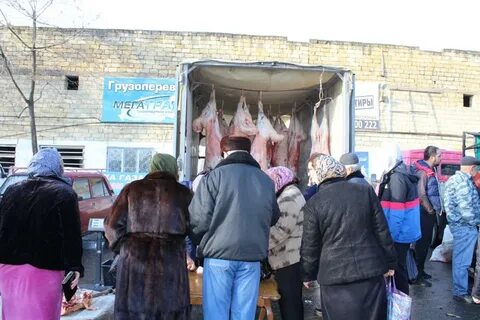 Золотая рыбка дербент