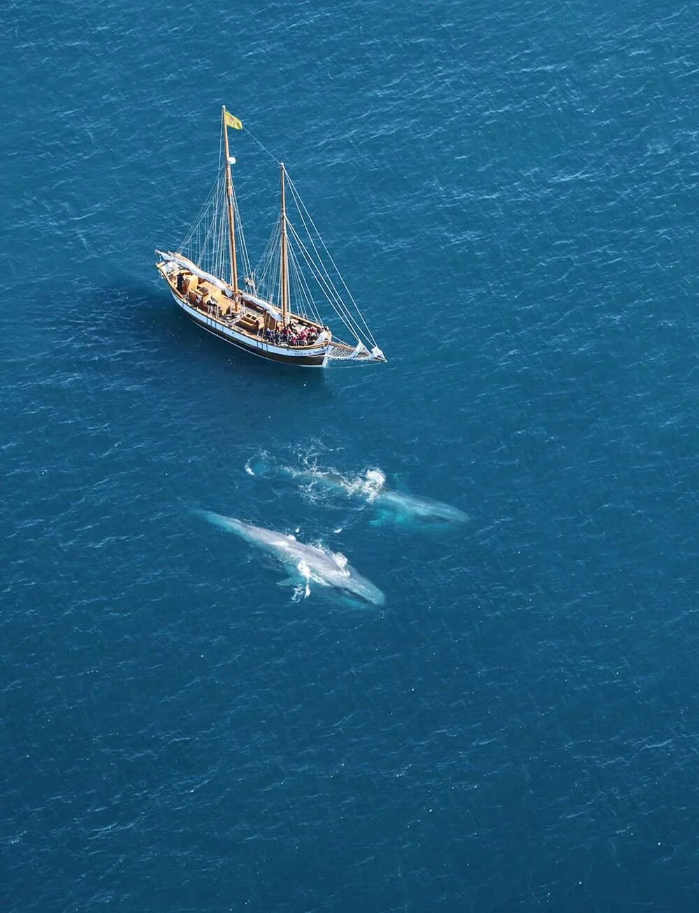Парусник сверху. Парусник сверху. Парусник сверху. Парусная яхта smaragd 2. Парусник вид сверху.