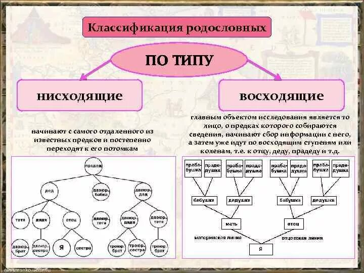 Определить родственные связи. Генеалогическая таблица нисходящего родословия. Генеалогическое Древо восходящее и нисходящее. Нисходящая генеалогическая схема. Схема родословной семьи.