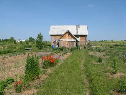 Поселенье родники
