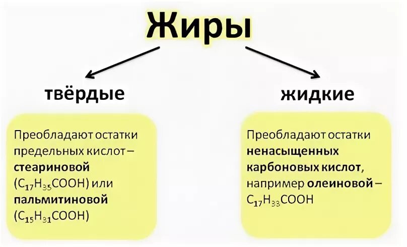 Чем отличаются твердые жиры от жидких изобразите. Отличие строения жидких и твёрдых жиров. Жиры Твердые и жидкие строение. Чем отличаются по строению жидкие жиры от твердых. Чем отличаются по химическому строению жидкие жиры от твердых.