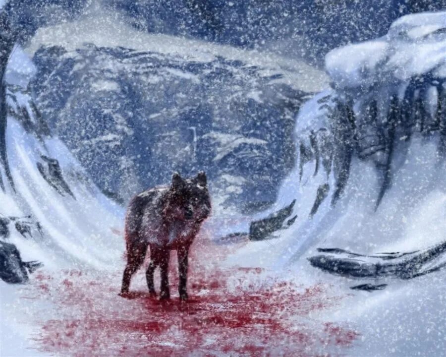 Снежный волк. Волк в снегу. Волк метель.