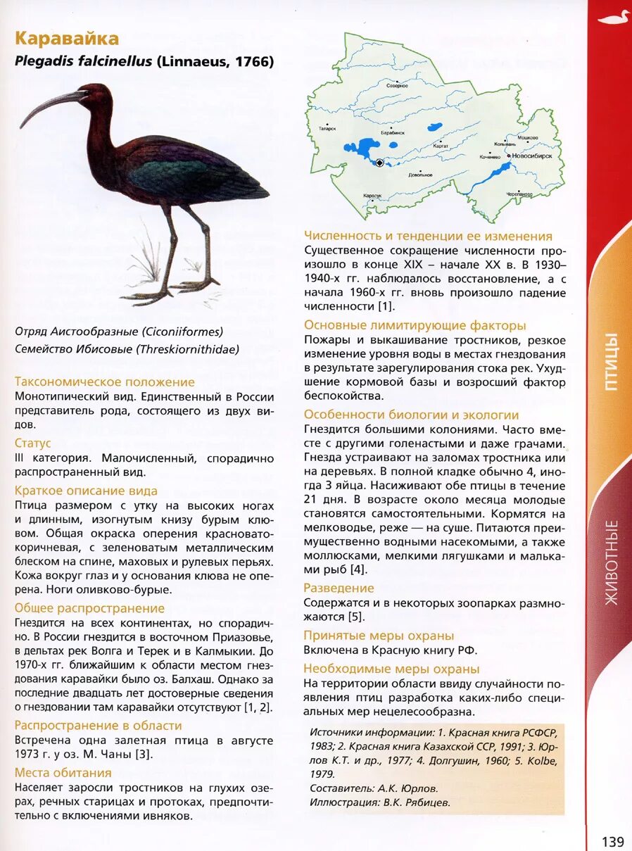 Картинки ЖИВОТНЫЕ ЗАНЕСЕННЫЕ В КРАСНУЮ КНИГУ НОВОСИБИРСКУЮ