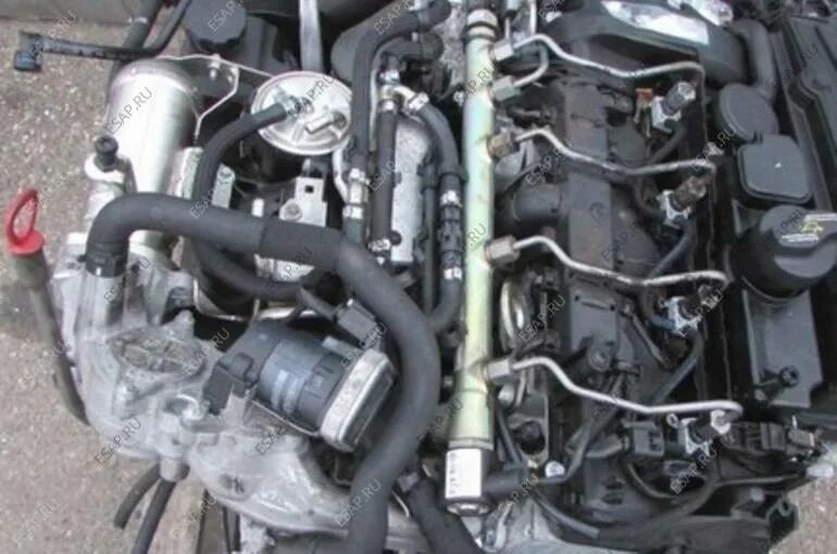 646 мотор мерседес. 646 мотор мерседес. 2 cdi. 646 мотор мерседес. 2 cdi.
