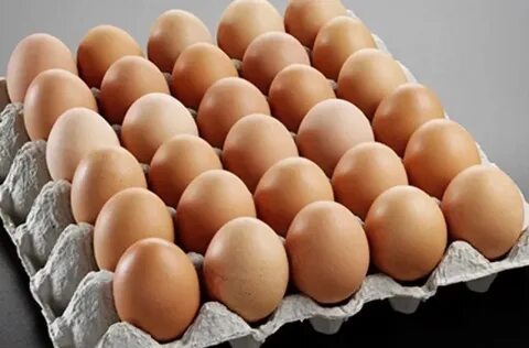 Egg москва