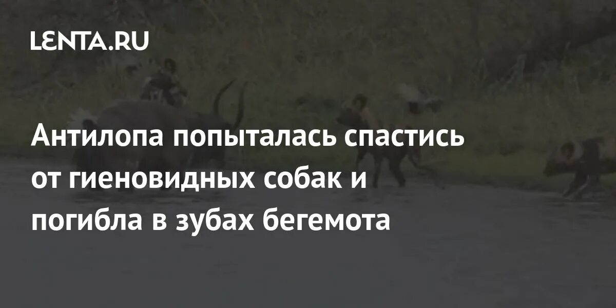 Пытался спастись