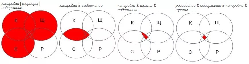 Канарейки щеглы страницы. Круги Эйлера канарейки и щеглы. Пересечение 4 кругов Эйлера. Круги Эйлера с четырьмя кругами. Канарейки щеглы содержание круги Эйлера.