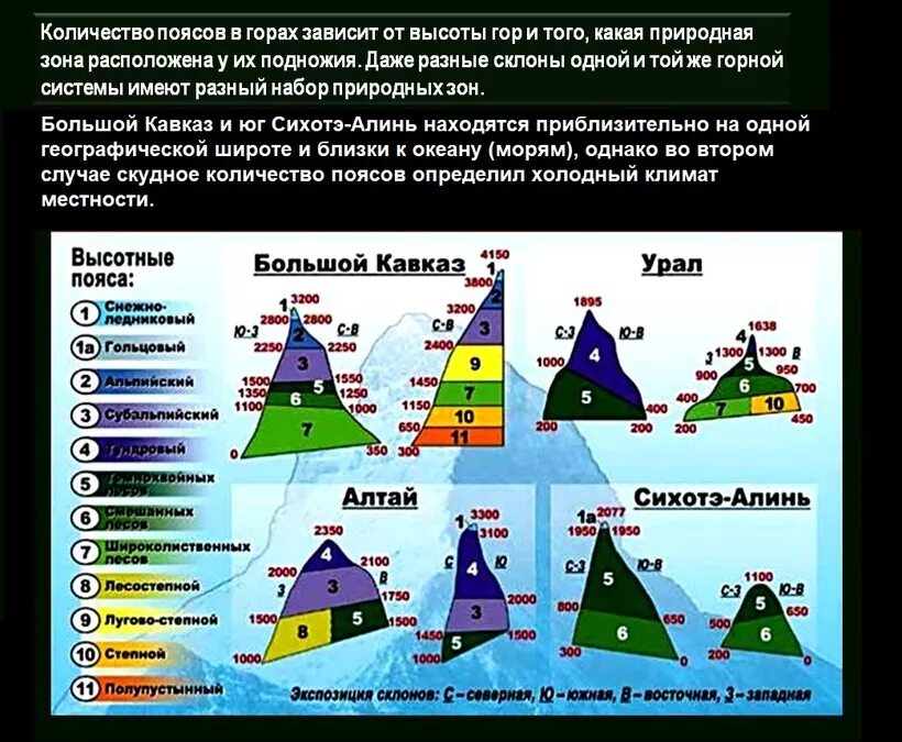 Высотные пояса в горах. Количество высотных поясов. Кол-во высотных поясов в горах. Высотные пояса гор России.