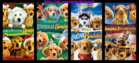 Аудиокниги лучшая пятерка 2
