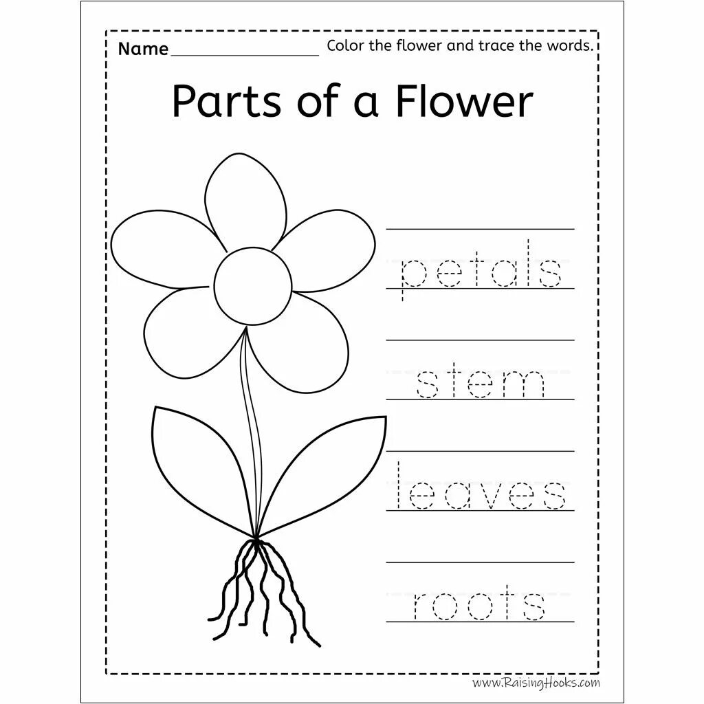 Flower exercise. Worksheets цветы for Kids. Parts of a Flower for Kids. Parts of the Flower Worksheets. Trace Worksheets.