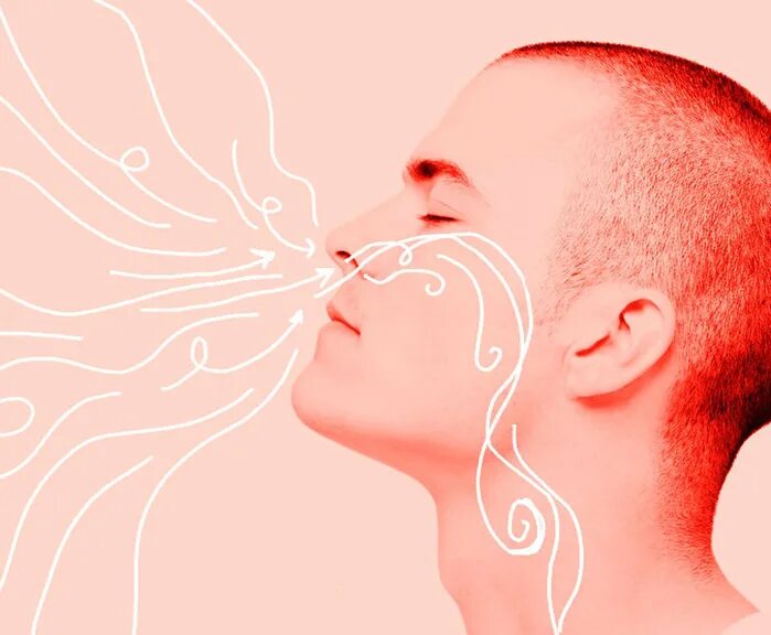 образование звука в гортани. образование звука в гортани. голосовой аппарат человека образуют. звуковая волна. звук выдоха человека.