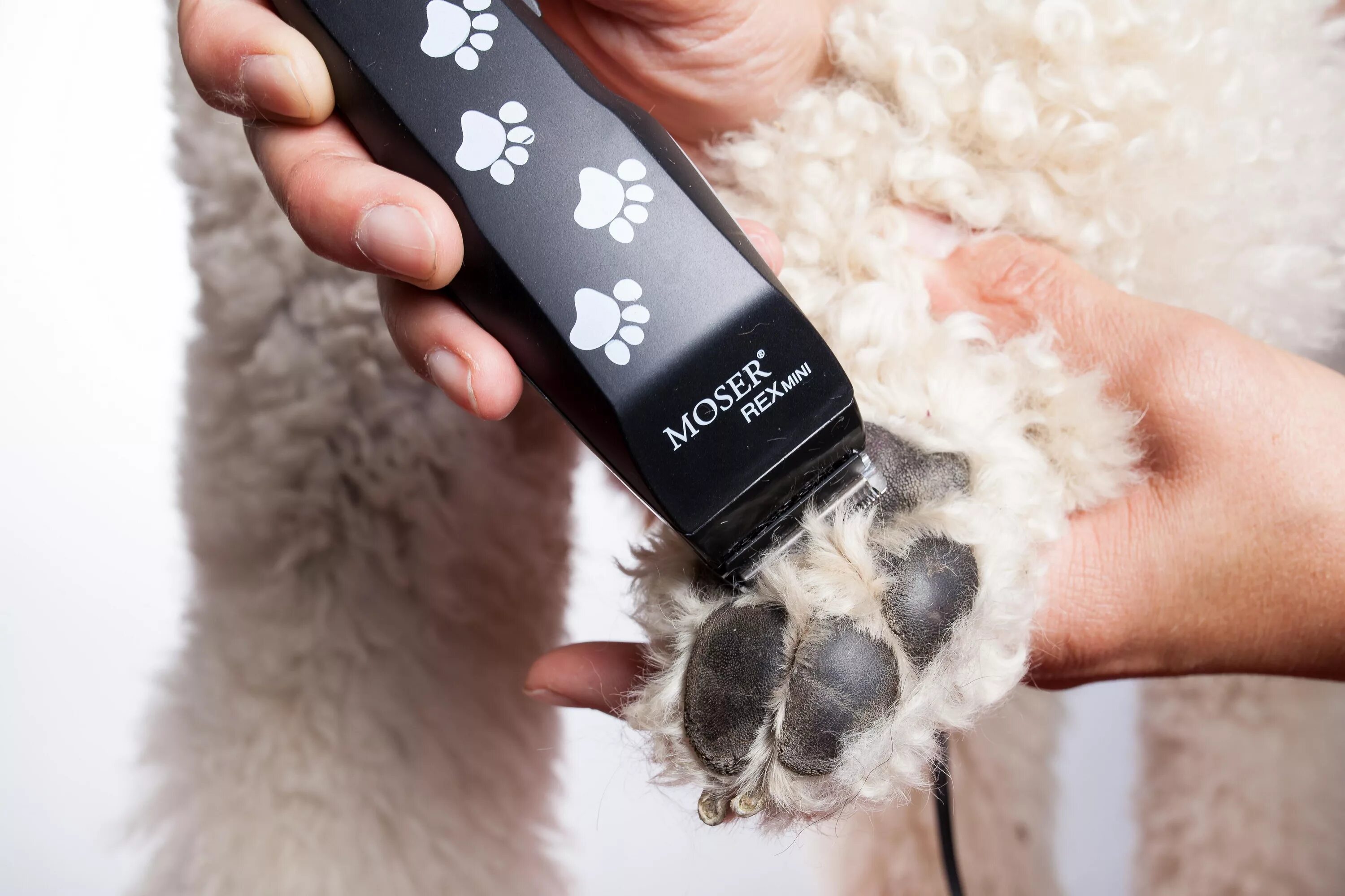 Катаракта у йоркширского терьера. Грумминг йоркширского терьера. Машинка для стрижки колтунов у кошек. Триммер moser rex mini. Грумер для вычесывания кошек.