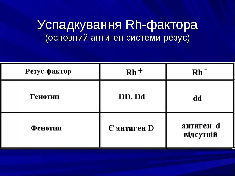 Генотипы резус положительных людей