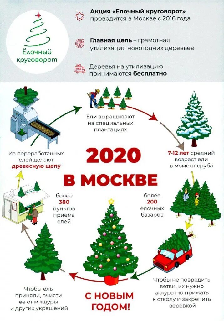 Акция елочный круговорот. Пункт приема новогодних елок москва. Переработка елок. Утилизация новогодних елок. Утилизация новогодних елок.
