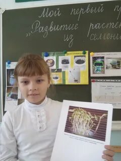 Блоги учителей