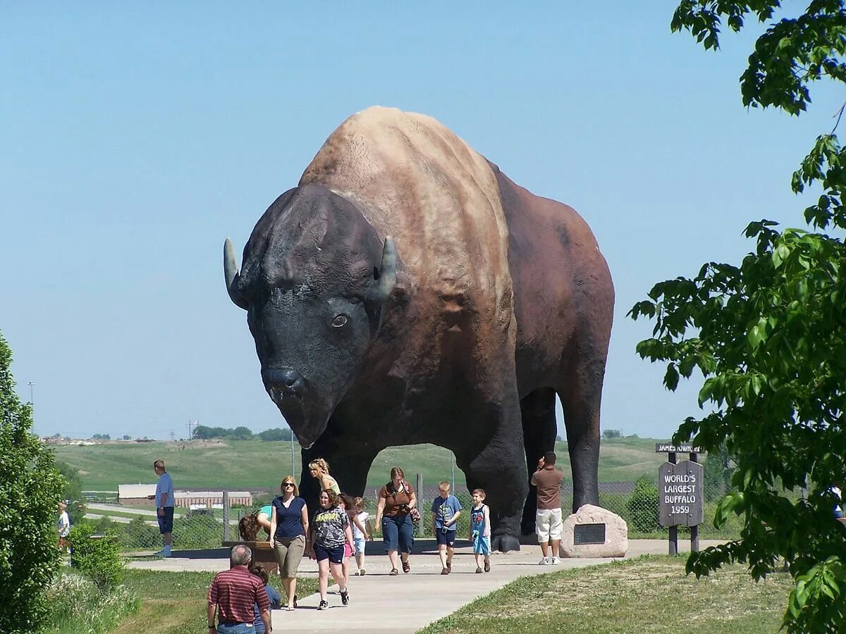 Северная Дакота достопримечательности. Статуя бизона в Северной Дакоте. Гигантский буйвол. Гигантский Бизон. Огромный проявлять