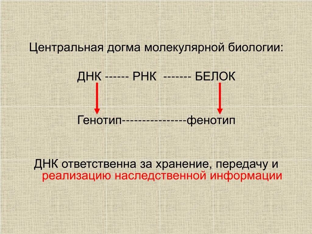 Центральная Догма молекулярной биологии. Центральная Догма молекулярной биологии схема. Центральная Догма молекулярной биологии (ДНК-РНК-белок).. Центральная Догма молекулярной биологии формулировка.