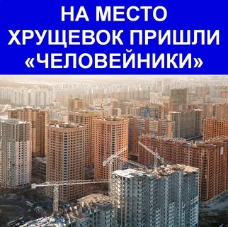 Человейники текст