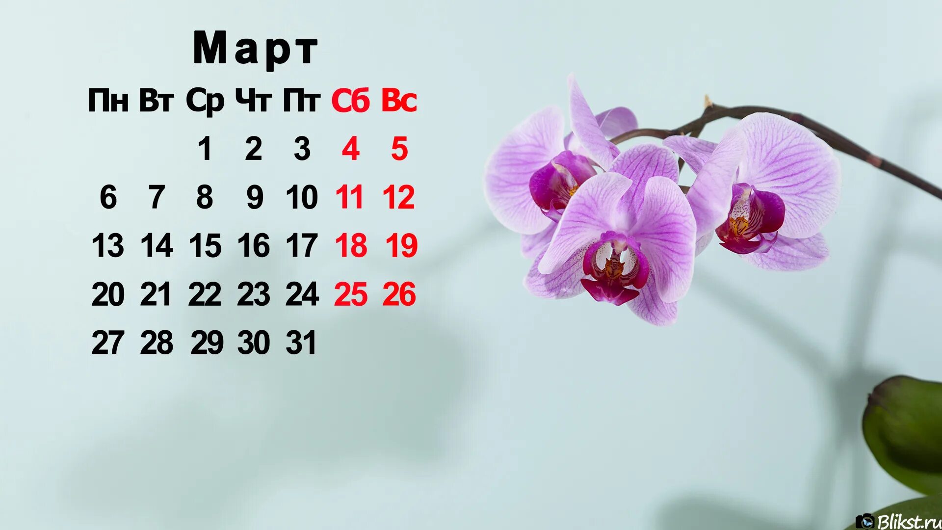 Март 2023 нового. Красивый календарь на март. Календарь заставка. Календарь март на рабочий стол. Март календарь обои для рабочего стола.