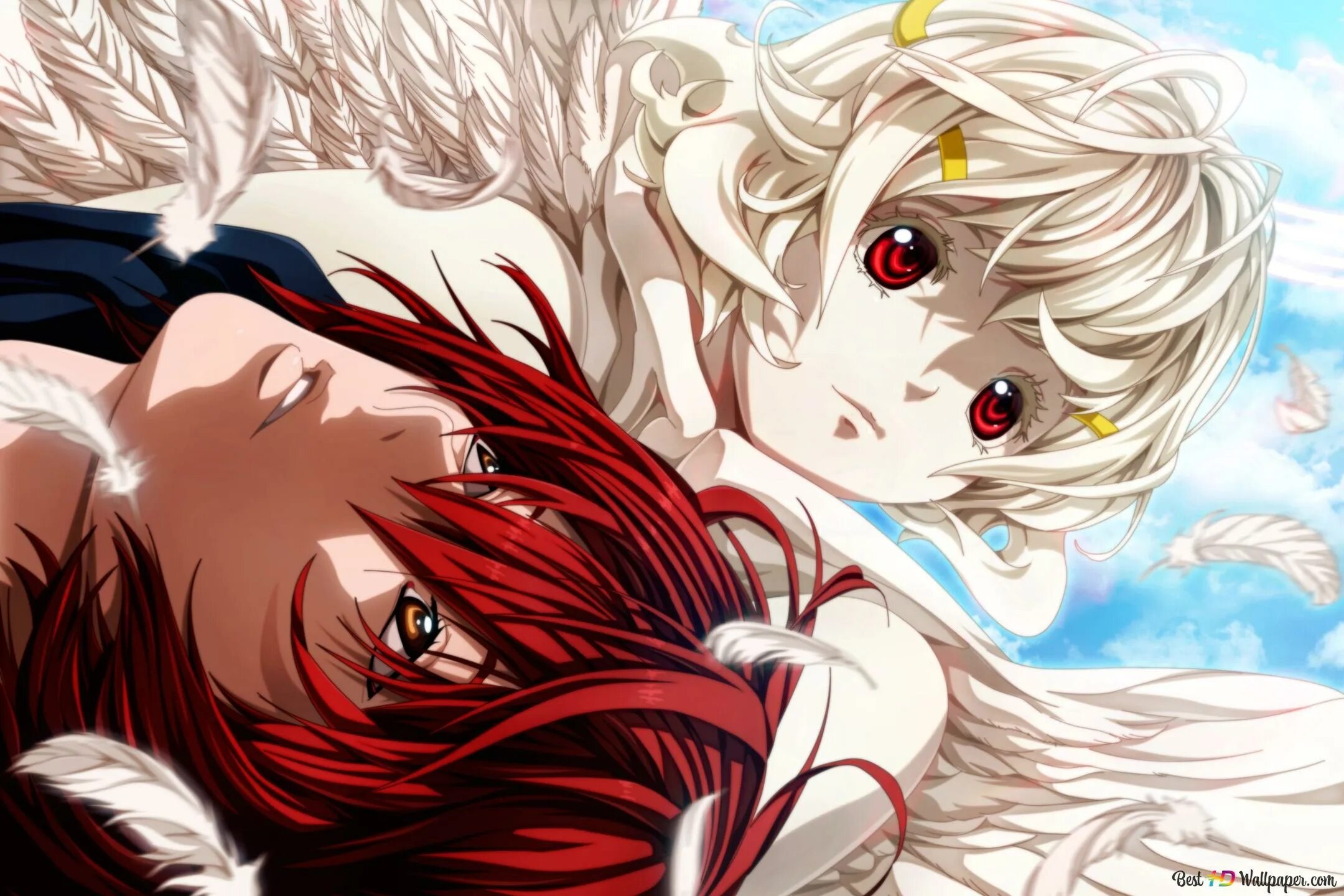 Платиновый предел ангел насса. Платиновый передел. Платиновый передел. Канаде урю платиновый предел. Канадэ урю платиновый предел.