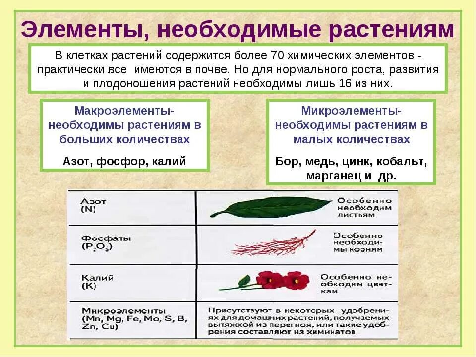 Выберите верное утверждение о минеральном питании растений. Микроэлементы необходимые для растений. Макроэлементы для растений. Элементы необходимые растениям. Роль химических элементов в жизни растений.