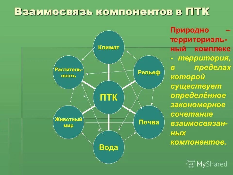 Каковы основные значения понятия природа 8 класс. Взаимосвязь компонентов природы. взаимосвязь компонентов природного комплекса. основные природные компоненты. компоненты птк.