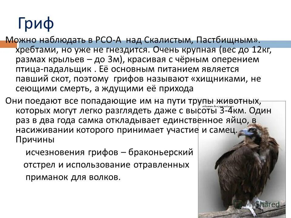 Гриф значение. Гриф значение