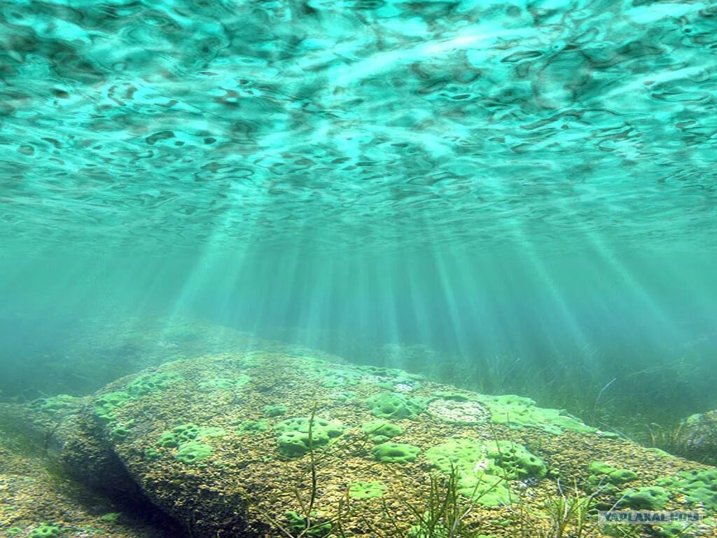 Изменение давления с глубиной в воде. Бездна челленджера в марианской впадине. Вода на глубине 5 метров. Conrad maldives rangali island, мальдивы. Вода на глубине 5 метров.