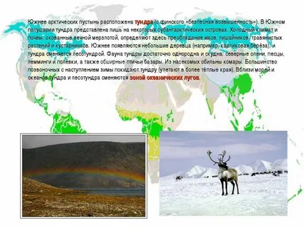 Климат арктических пустынь и тундр