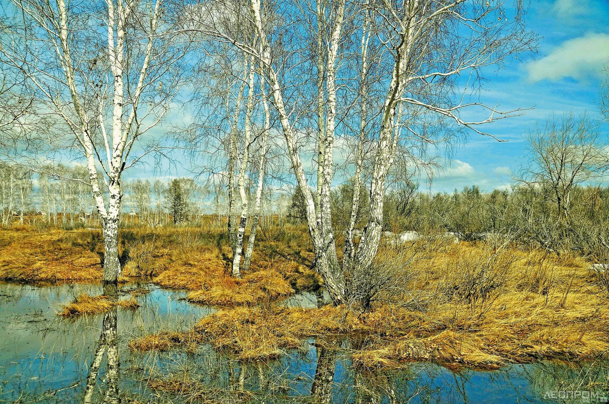 Сходить апрель