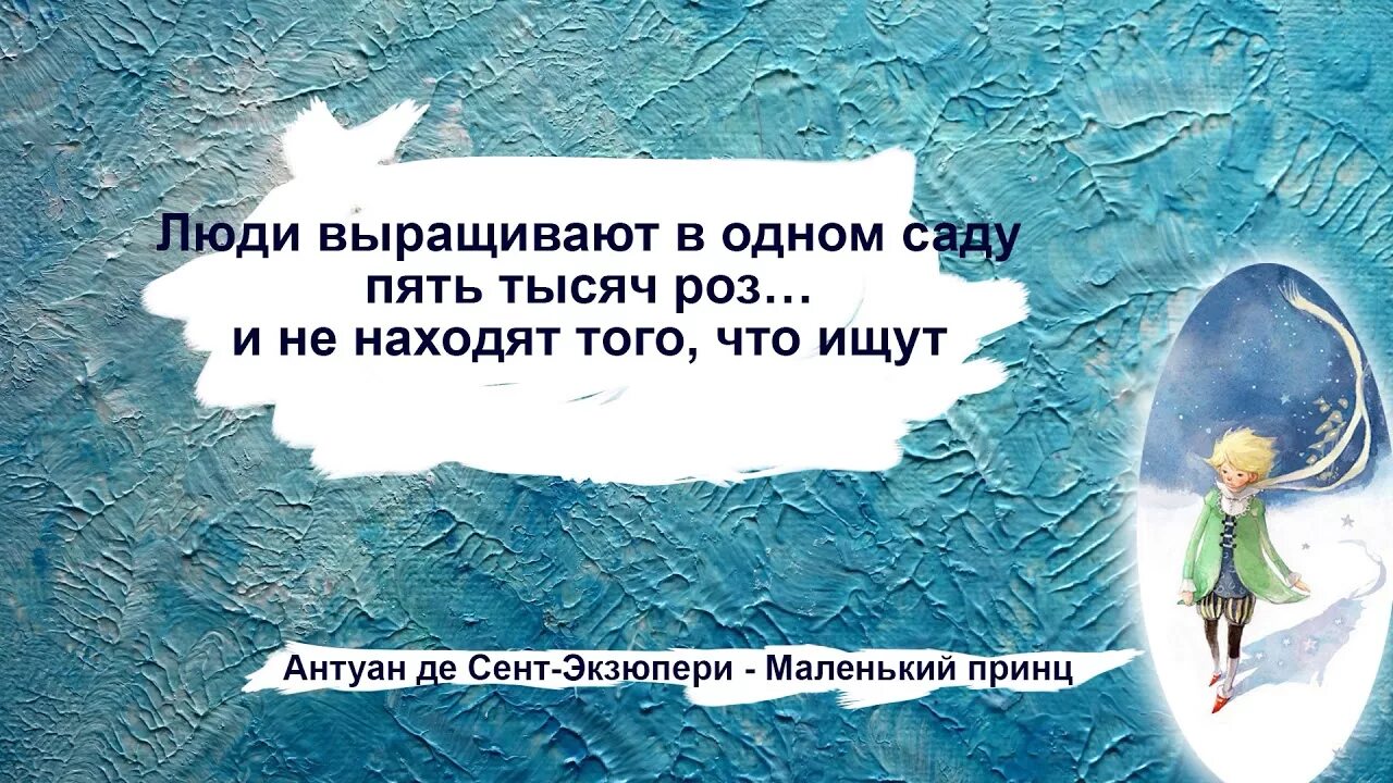 Крылатые выражения из маленького принца. Маленькие цитаты. цитаты маленький принц экзюпери. маленький принц цитаты и афоризмы. цитаты из маленького принца.