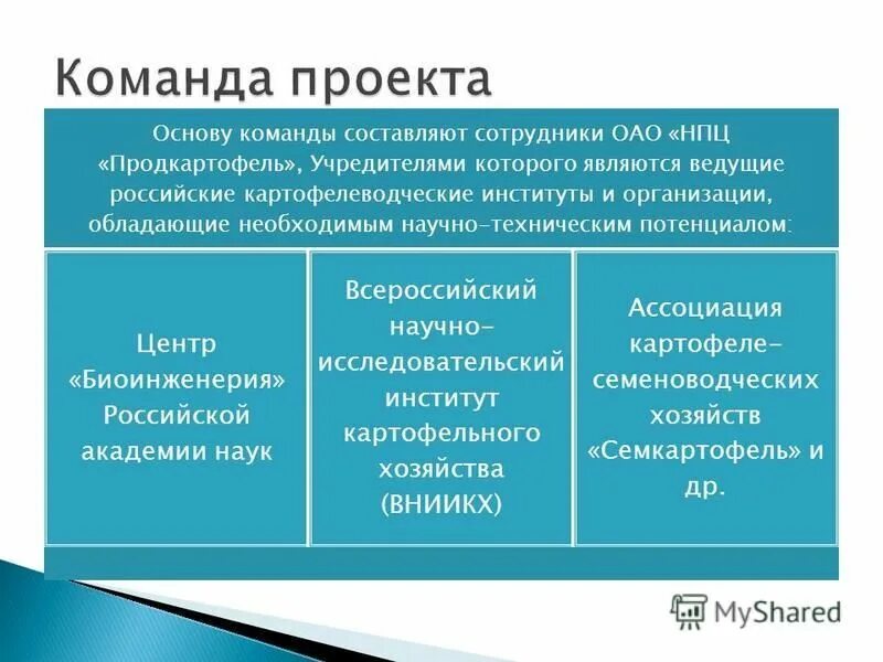 основа команды. основа команды. основа команды. организация работы в команде. принципы построения команды.