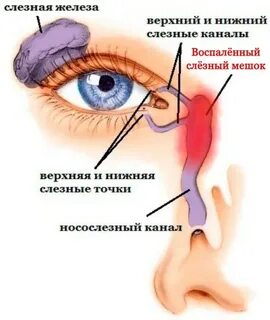 Заложило нос текут слезы