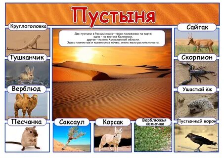 Биология 5 класс природные зоны название животных