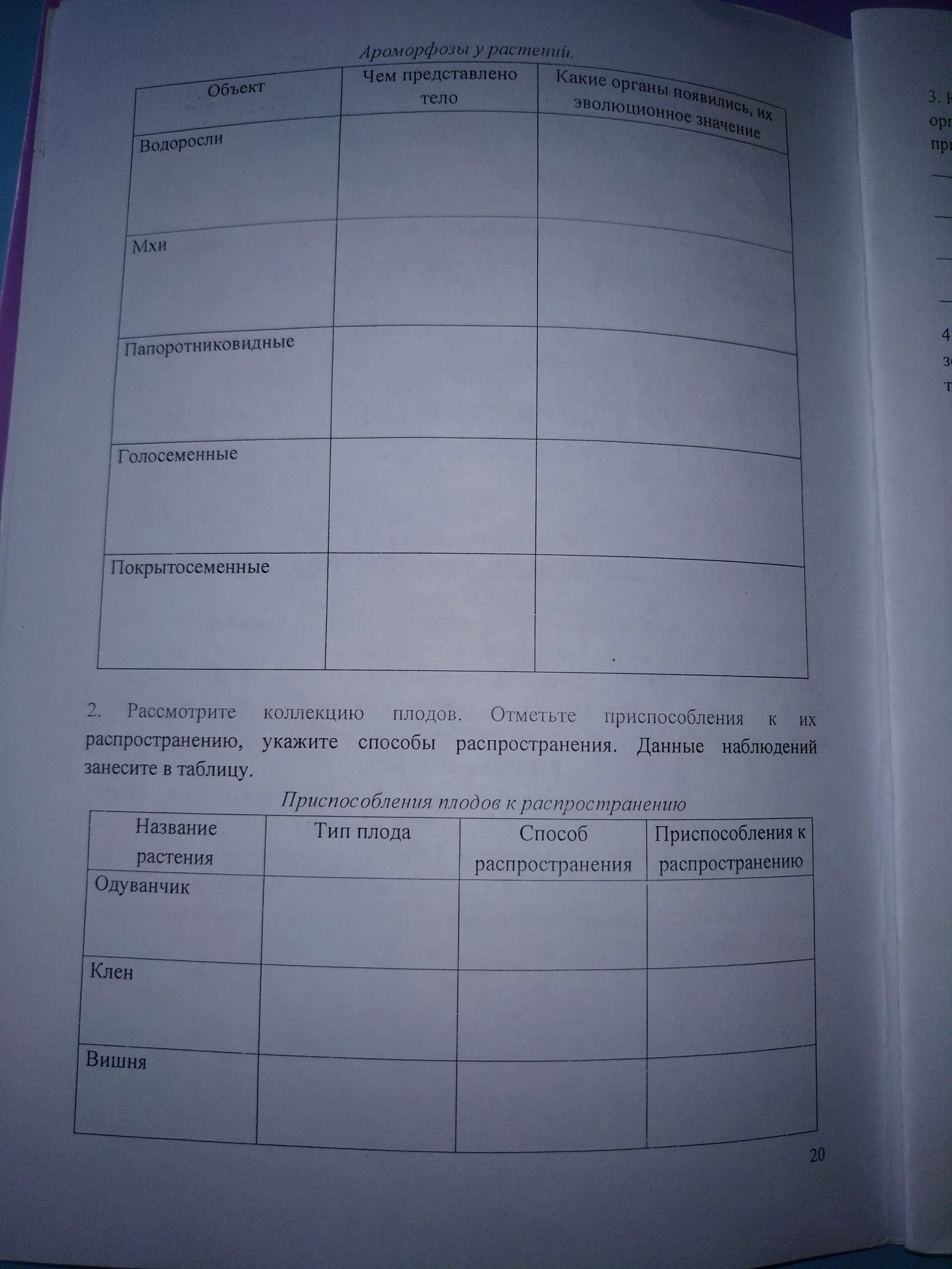 Выявление ароморфозов у растений. Выявление ароморфозов у растений