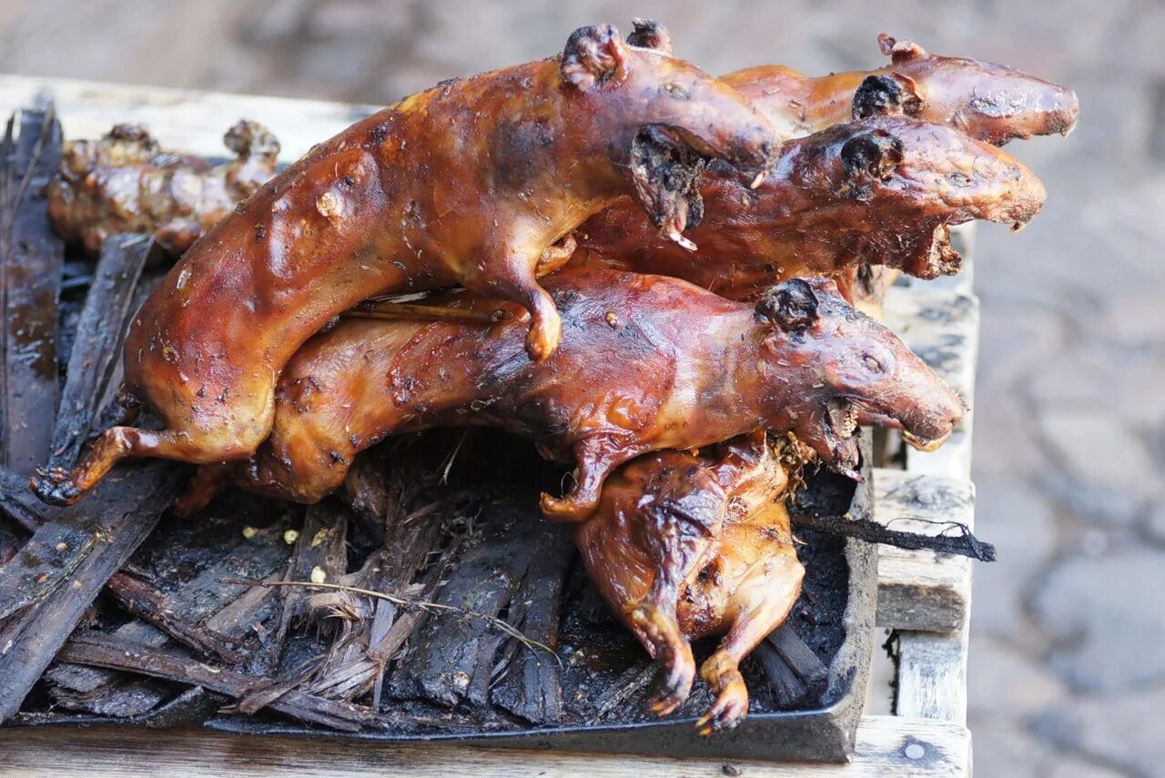 жареный еж. жареный белок. жареный белок. 3 жареные белка. куй блюдо.