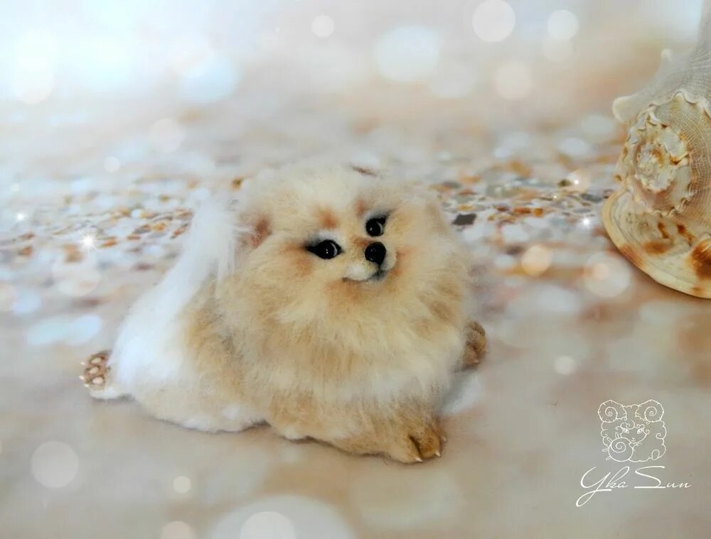 The dog collection игрушки. Журнал шпиц. Обложка журнала собака. Шпиц дома. Лапа шпица.