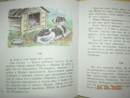 Язык рассказов о животных к г паустовского