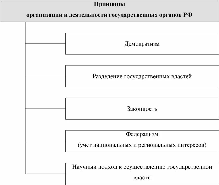 Принципы организации и деятельности государственных органов. Принципы организации и деятельности государственных оргонов. Принципы организации и деятельности органов государства. Принципы организации власти.