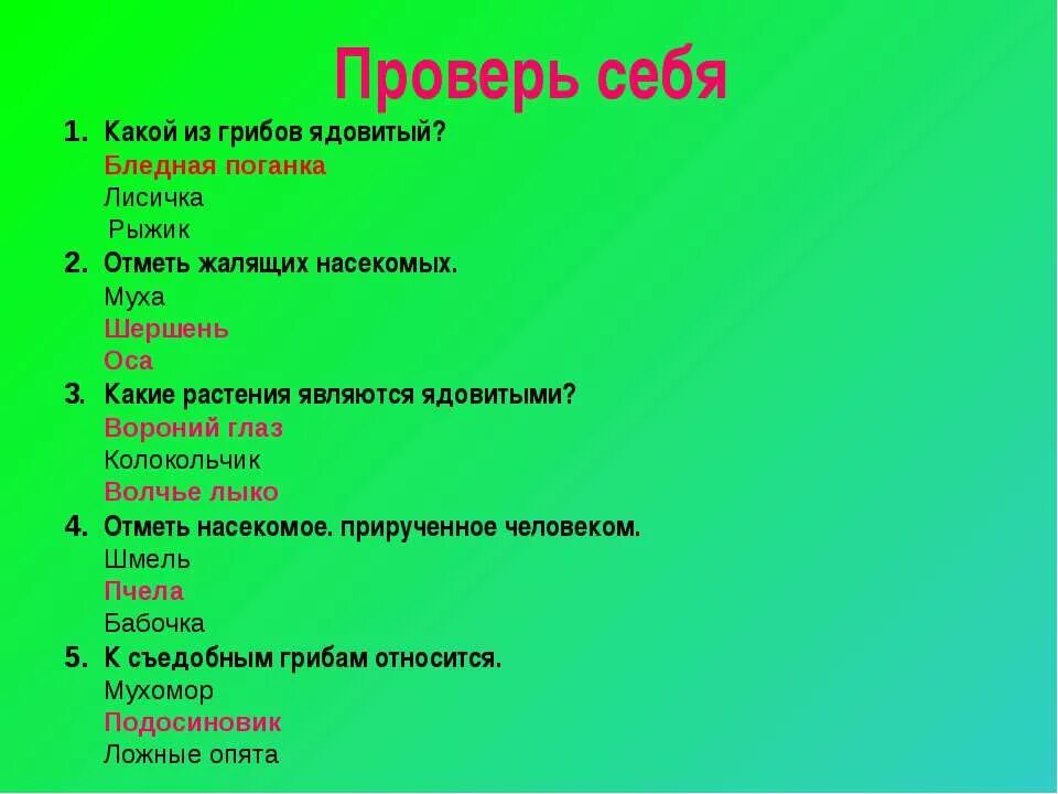 Проект лесные опасности. Проект лесные опасности окружающий мир. Опасности в лесу для детей. Проект о лесных опасностях план выступления. План выступления о лесных опасностях 2 класс.