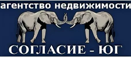 Директор ооо согласие. Агентство недвижимости согласие Юг. Согласие Юг агентство недвижимости Ростов. ООО согласие. Агентство недвижимости согласие Юг Ростов-на-Дону визитки.